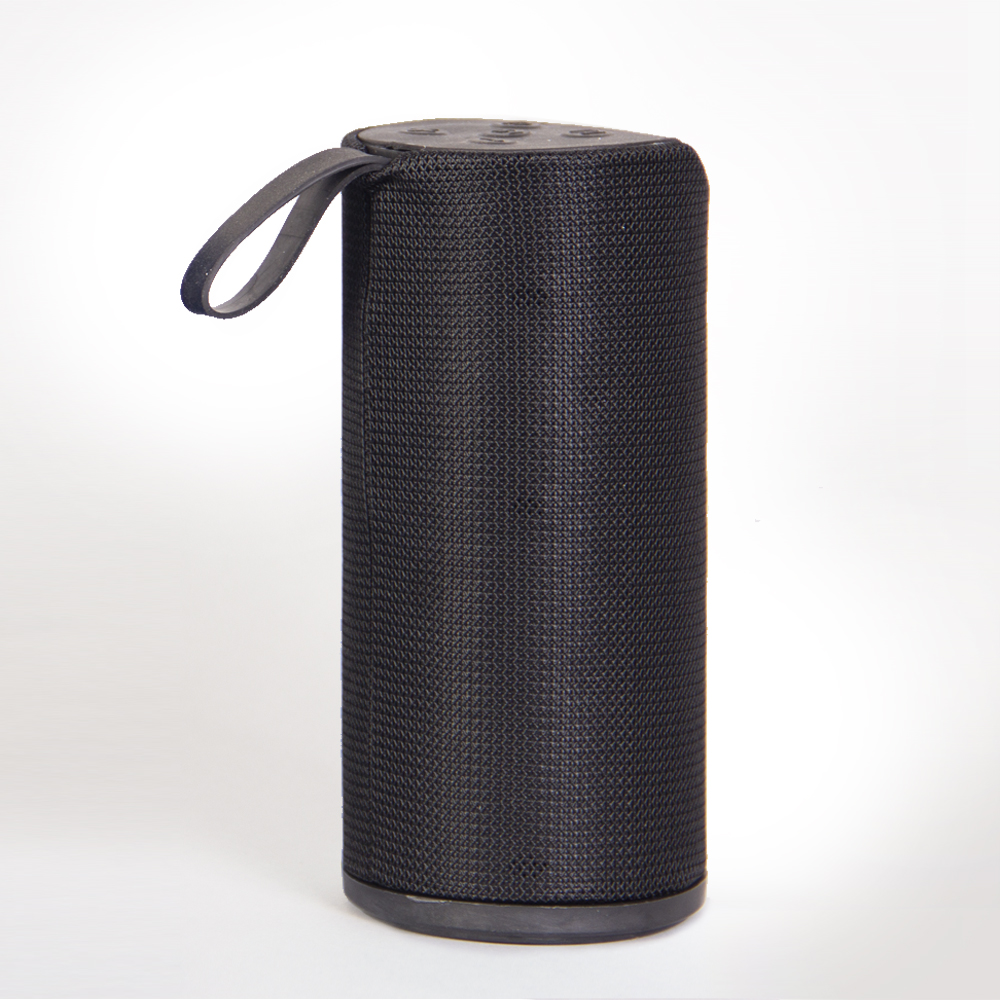 اسپیکر Portable مدل 113